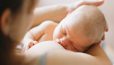 Optimize Your Breast Milk by Focusing on Your Gut Health