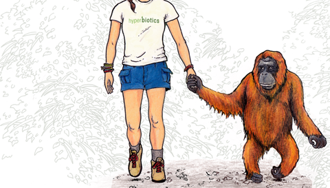 Meet Our 5 New Fosters from Orangutan Foundation International