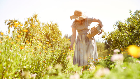 Three Ways Gardening Is Good for Your Gut