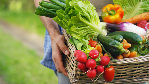 The Real Reasons Eating Locally and Seasonally Is Better for Your Health