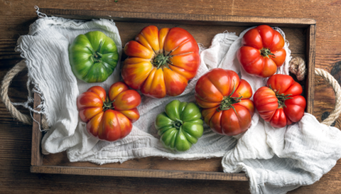 The Fascinating Truth Behind Tomatoes and Gut Health
