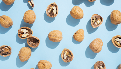 Focus on Prebiotics: Get Nutty With Walnuts!